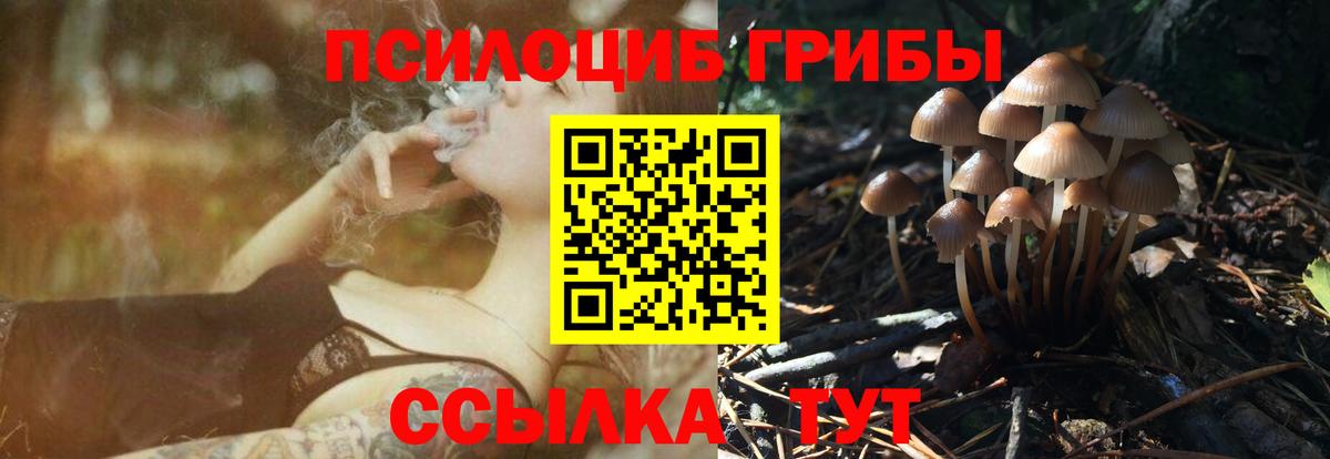 Галлюциногенные грибы Psilocybe  Вход с VPN  Реж 